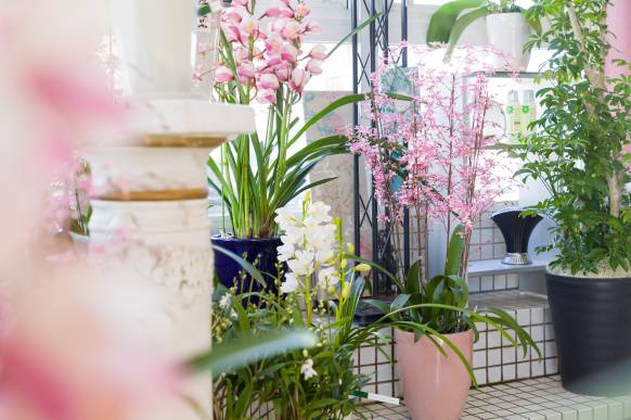 「浜田フラワーセンター」　（島根県浜田市）の花屋店舗写真4